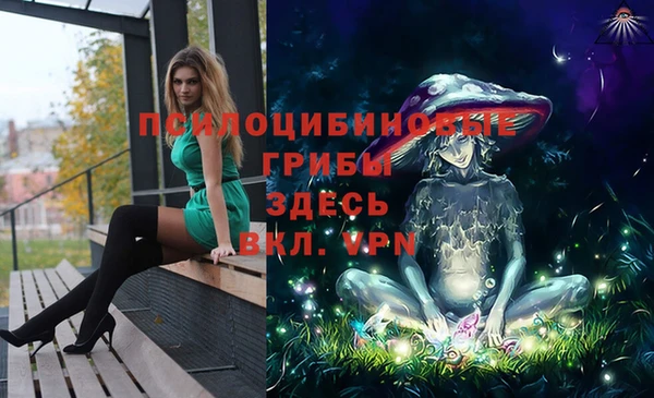 мет Бородино
