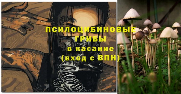 ешки Бугульма